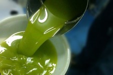 olio extravergine di oliva biologico  5l nocellara del belice 2025 + regalo 