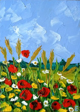 Campo fiori selvatici papaveri