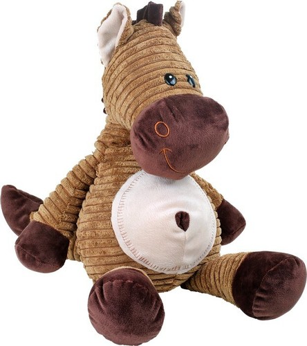 Cavallo cavalluccio pony - cavalluccio,