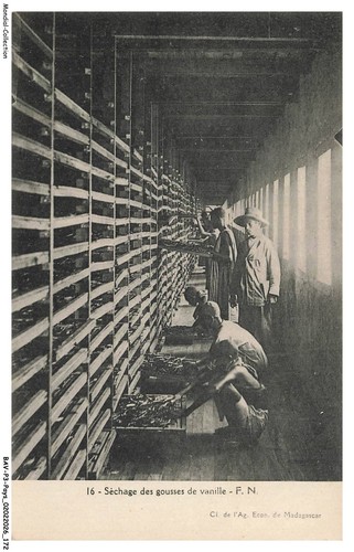 Bavp3 0320 madagascar - bavp3-0320-madagascar,