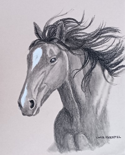 Disegno originale carboncino - originale,
