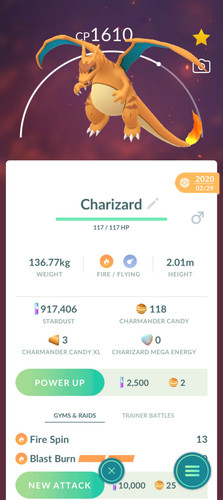 Raro pokémon charizard - pokémon,