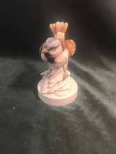 Volatile Cacciapuoti
