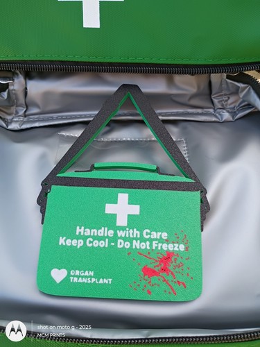 Resident evil - , (magnete)