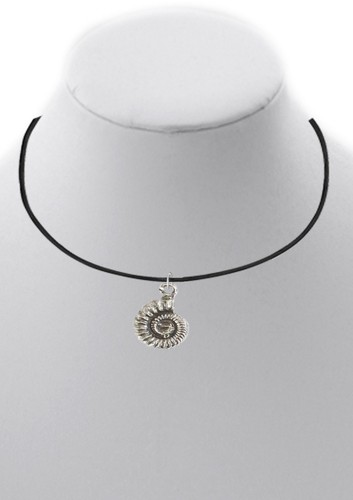 Ammonite fossile peltro - wa,