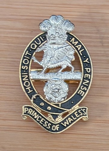 Princess wales royal - of, wales's