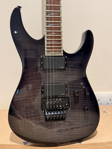 Esp ltd 1000 deluxe emg - esp,