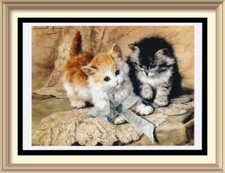 Henriette Ronner-Knip 7x5 Cat