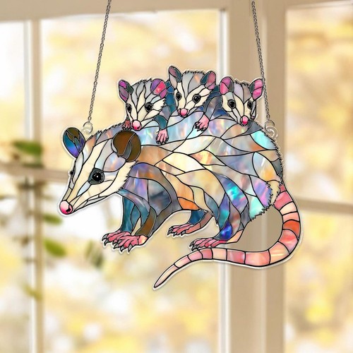 Opossum mamma acchiappasole