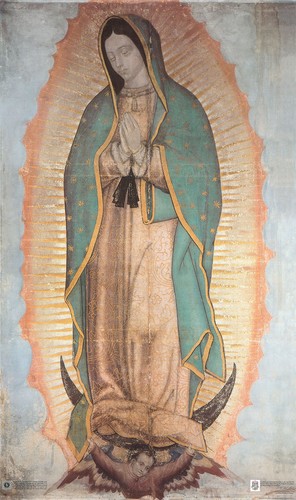 Nostra signora guadalupe su - di,