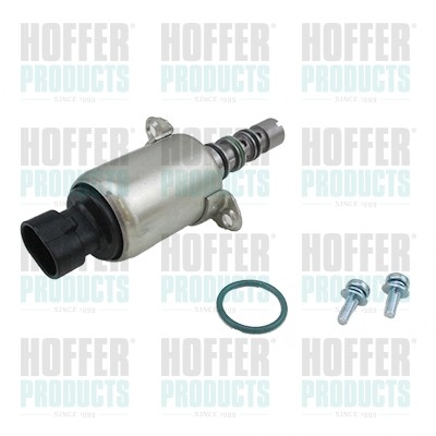 H805060 hoffer valvola gruppo - h805060,