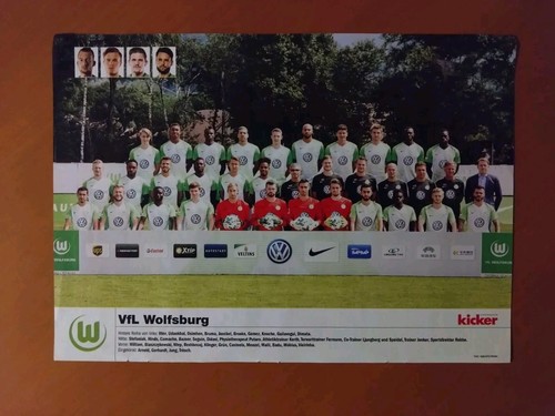Vfl wolfsburg mannschaftsfoto - vfl, wolfsburg,