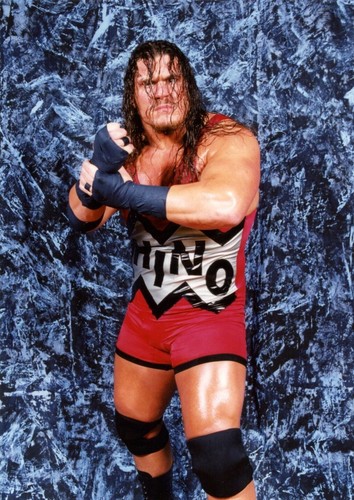 Wrestling superstars - superstars, - 