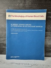 The Morphology Human Blood