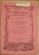 L'UMBRIA AGRICOLA 15 30 SETTEMBRE 1886 VINO SVIZZERA CITTA DI CASTELLO BOLZANO