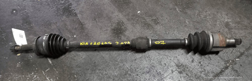 495001d700 semialbero ant - 495001d700,