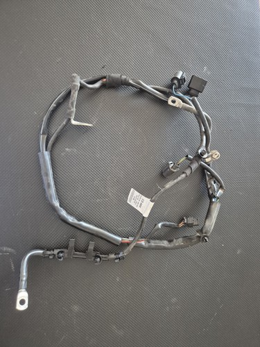 Cablaggio alternatore - cablaggio,