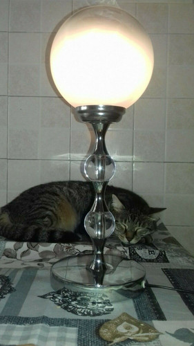 Lampada tavolo vintage - vintage, anni