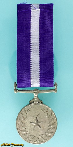 Medaglia onore civile - medaglia, d'onore