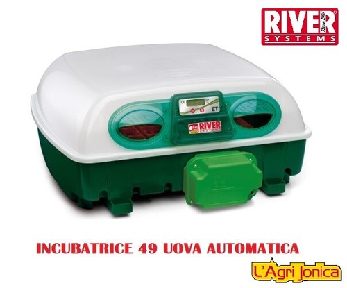 Incubatrice automatica - incubatrice,
