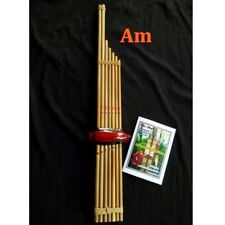 Strumento musicale Lao Reed