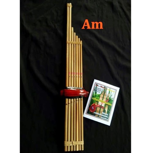 Strumento musicale lao reed - musicale,