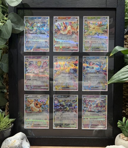 Full set eeveelution framed - full,