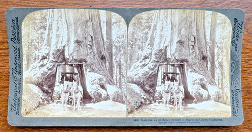 Underwood stereoview wawona - underwood,