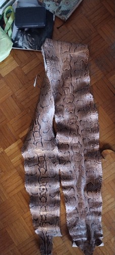 Pelle pitone circa - di,