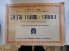 zoologia anatomia e fisiologia esposte in tavole sinottiche grandori remo B00F63
