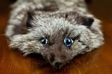 Collo Sciarpa Pelle Pelliccia Volpe Argentata Lupo Bianco