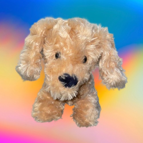 Manhattan toy cucciolo - co, cane