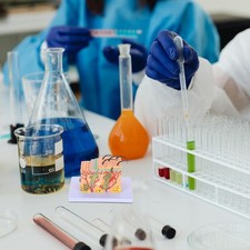Modello anatomia fisiologia - modello,
