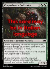 MTG 4x CORPSEBERRY CULTIVATOR EXC - COLTIVATRICE DI BACCADAVERE 210 - BLB