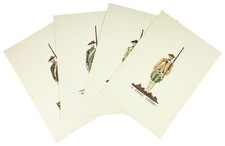 [Bourbon Armies] M Vocino /