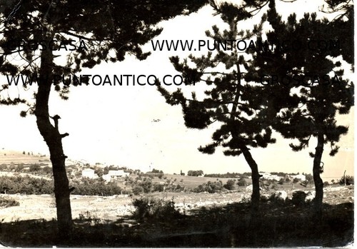 San zeno montagna - san,