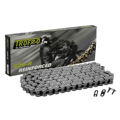 Mf6396 catena passo 520 trofeo - passo,