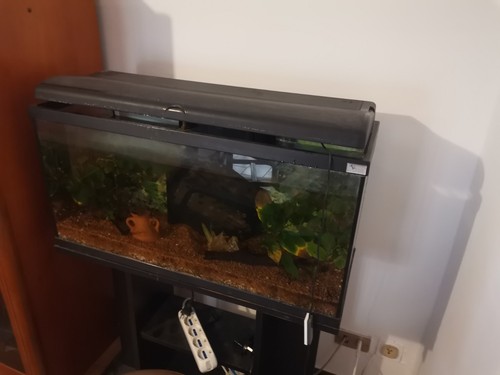Vendo acquario usato ottime - in,