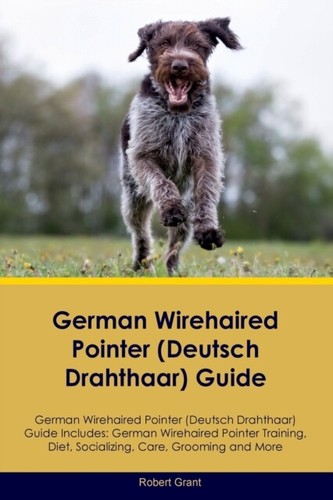 Grant german wirehaired - german,