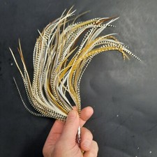 100 PIUME SELLA GALLO 6 - 9+"