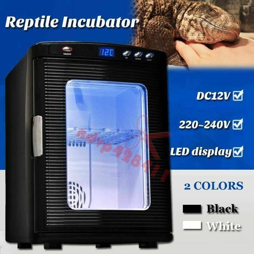 Incubatrice automatica rettili