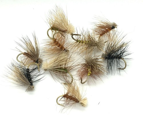 Fly fishing caddis capelli - fishing,