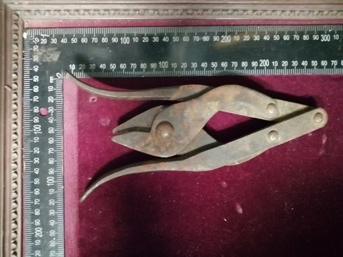 Cesoia pinza taglia reticolati - cesoia,