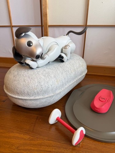 Sony aibo ers 1000 - sony, ers-1000