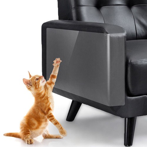 Pack clear anti cat scratch - 16,