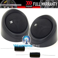 NUOVO SCONTATO MOREL MAXIMO