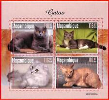 A4290 - MOZAMBICO - ERRORE ERRATO, Foglio in miniatura: 2019, Gatti, Devon Rex