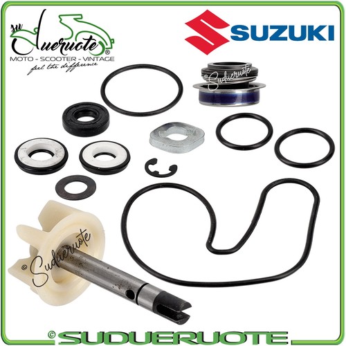 Kit revisione pompa - revisione, acqua