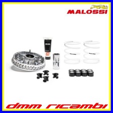 Variatore MALOSSI Multivar