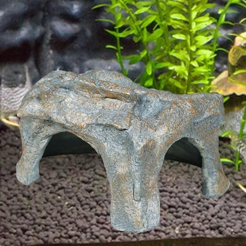 Decorazione per acquario